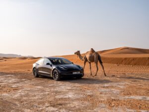 Tesla Dodges EU Electric Vehicle Subsidy Probe