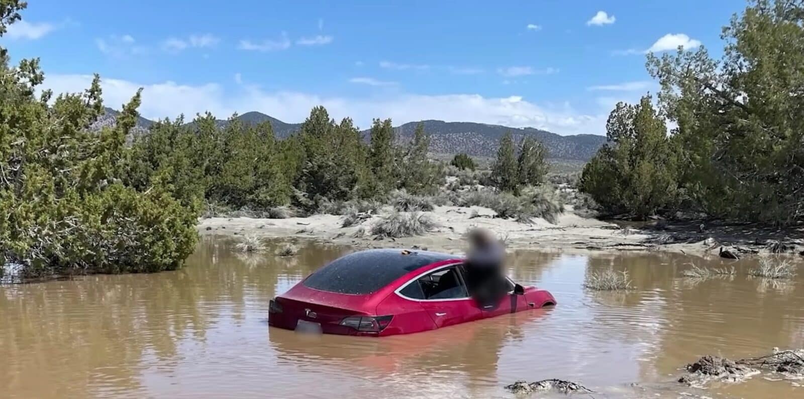 Tesla Model 3 Hits Floodwaters: Questions Rise Over Full Self-Driving Capability