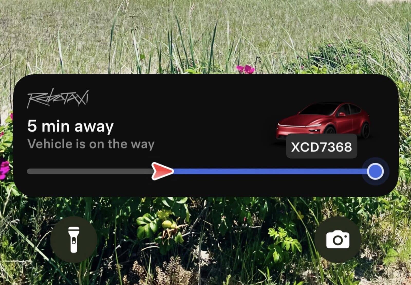 Tesla Robotaxi Pilot Launches In Austin, Signals Ev Autonomy Push