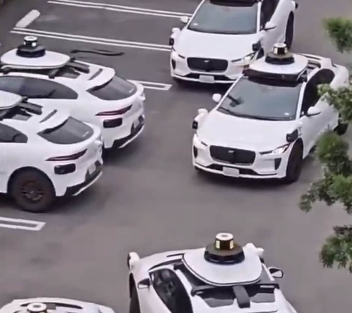 Waymo Hits Dallas In 2026, Sparking Fierce Ev Rivalry With Elon Musk’s Tesla
